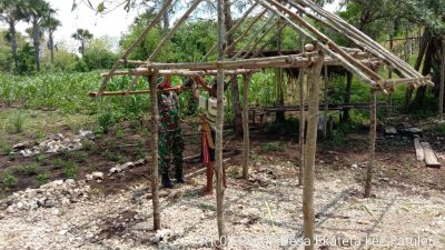 Babinsa di Kabupaten Kupang,  Bantu Bangun Rumah Kebun Milik Petani