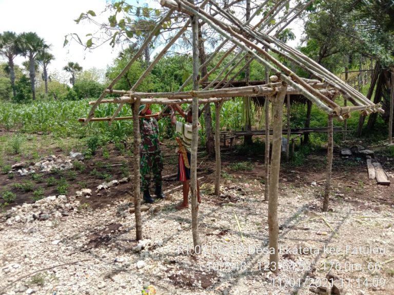 Babinsa di Kabupaten Kupang,  Bantu Bangun Rumah Kebun Milik Petani