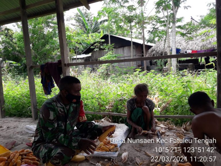 Babinsa Koramil 1604-02 Camplong Dampingi Petani Wujudkan Ketahanan Pangan