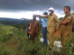 Kementan Perluas Lahan Food Estate Di Sumba Tengah Dari 5000 Ha Menjadi 10.000 Hektar