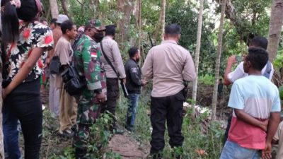 Seorang Kakek di Kabupaten KupangTewas Dibunuh  Pamannya, Gara-gara Kelapa