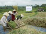 Selama Masa Pandemi, Rp 161 Triliun Kredit Mikro BRI Tersalurkan ke Sektor Pertanian