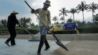 Kredit Pertanian BRI Tembus Rp117,54 Triliun, Pembiayaan Rice Mill  Jangkau Lebih dari 40 Ribu Nasabah