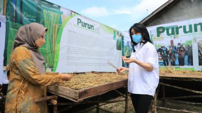 Sulap Rumput Menjadi Sedotan, Nasabah Binaan BRI Ini Jadi Pahlawan Lingkungan dan Masyarakat