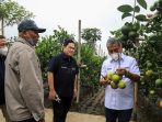 Kunjungi Petani Jeruk, Menteri BUMN Erick Thohir Apresiasi Klaster Pertanian Binaan BRI