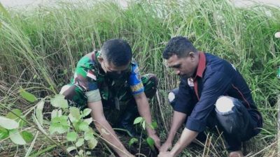 Mahasiswa Pro Demokrasi dan TNI AU Tanam Pohon di Bukit Cinta