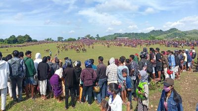 Pasola Lamboya Berlangsung Aman, Pengunjung Merasa Puas