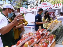 Berdayakan 11 Ribu Klaster Usaha, BRI Perkuat Komitmen Bawa UMKM Naik Kelas