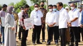 
*BNI Dukung Taxi Alsistan --* Presiden Joko Widodo (keempat kanan), Menteri Pertanian Syahrul Yasin Limpo (keenam kanan), Menteri PUPR Basuki Hadimuljono (paling kanan), Gubernur Jawa Timur Khofifah Indar Parawansa (ketiga kanan), Direktur Utama BNI Royke Tumilaar (kedua kanan), Direktur Hubungan Kelembagaan BNI Sis Apik Wijayanto (tengah), Direktur Jenderal Perkebunan Andi Nur Alam Syah (kelima kanan), dan Direktur Utama PT Corin Mulia Gemilang Jemmy Eka Putra (ketujuh kanan) dalam acara  Peluncuran Program Taksi Alsintan oleh BNI dan Kementerian Pertanian di Gresik, Jawa Timur, Senin (22/8/2022).  BNI sebagai agen pembangunan berkomitmen untuk mendukung ketahanan sekaligus penguatan sektor agrikultur pangan nasional khususnya dengan model pengelolaan tata kelola usaha jasa alsintan dengan sistem sewa atau kepemilikan melalui skim kredit perbankan. Foto Dok BNI 