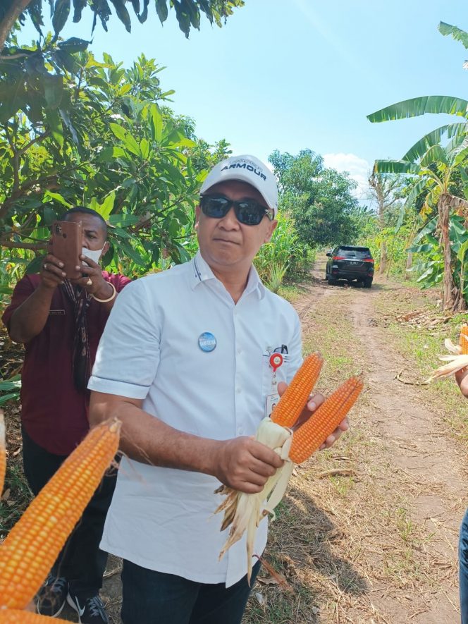 Tak Perlu Takut Inflasi Dan Krisis Pangan, Ada Aplikasi B’Pung Petani ...