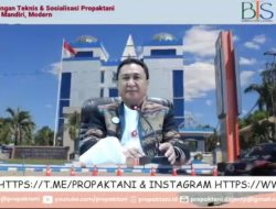 Bank NTT Biayai Petani Lewat Skim Kredit Merdeka Sukseskan Program TPJS Pemprov NTT