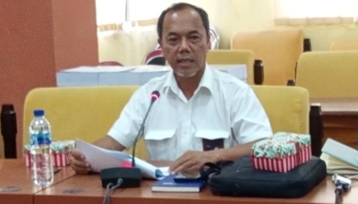 PLTP 10 MW Atadei Solusi Pasokan Listrik di Kabupaten Lembata