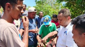 Calon Gubernur NTT Nomor Urut 3, Simon Petrus Kamlasi menikmati sirih pinang kapur bersama masyarakat di Pasar Ofu, TTS, Senin, 21 Oktober 2024 / foto: Gorby Rumung/Tim Media For SIAGA