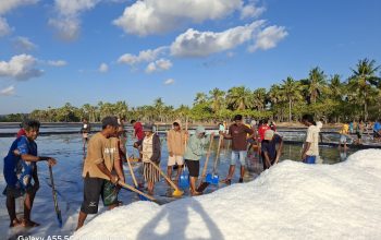 Lirik Garam Sabu Raijua, Pemerintah Timor Leste Bersurat ke Marthen Dira Tome