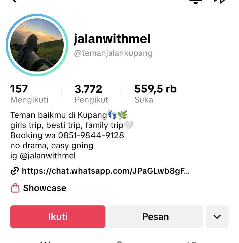 akun Tiktok @temanijalankupang membuka jasa temani jalan khusus untuk perempuan. Foto: tangkapan layar
