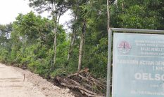 Soal Ijin Penebangan Pohon di KHDTK Oelsonbai, BPJN NTT Sebut Itu Urusan Pemda
