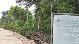 Papan Proyek pengerjaan jalan yang melintasi kawasan KHDTK Oelsonbai