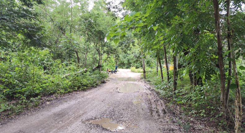 foto slider headline