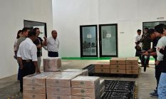 La Moringa Serap 3-5 Ton Kelor per Bulan dari Petani NTT, Siap Tingkatkan hingga 10 Ton