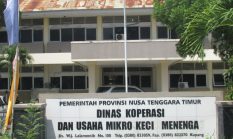Honor Business Assistant KDMP di NTT Belum Dibayar Sejak Maret, Muncul Dugaan Dana Dekon Diendapkan