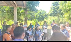 Penggugat Tanah Milik Janda di Kupang Tidak Mampu Tunjukan Tapal Batas dan Tak Kenali Para Tetangga 