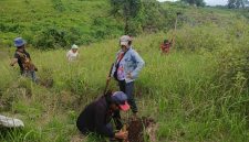 Salah satu aktivitas pengelolaan lahan perhutanan sosial di NTT oleh perempuan