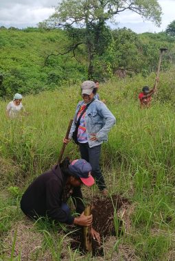 Kado Hari Kartini, 6 Kelompok Perempuan di Flores Terima SK Perhutana Sosial 