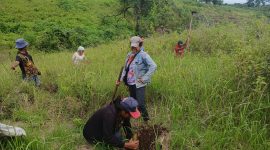 Salah satu aktivitas pengelolaan lahan perhutanan sosial di NTT oleh perempuan