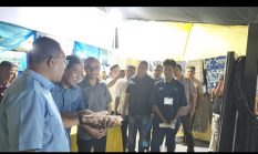 Rp1,8 Triliun Uang NTT Lari ke Luar, SMKN 1 Pandawai Tawarkan Solusi Pakan Ternak Mandiri