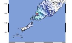 Gempa M4,8 di Kupang Dipicu Aktivitas Sesar Aktif